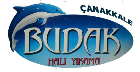 Budak Halı Yıkama görseli