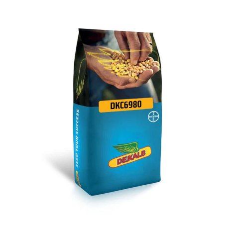 Dekalb görseli