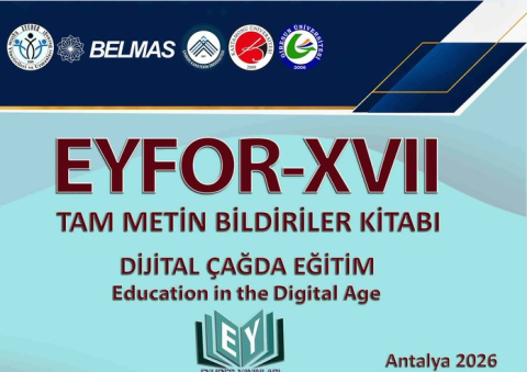 Eyfor (eyfor.org) görseli