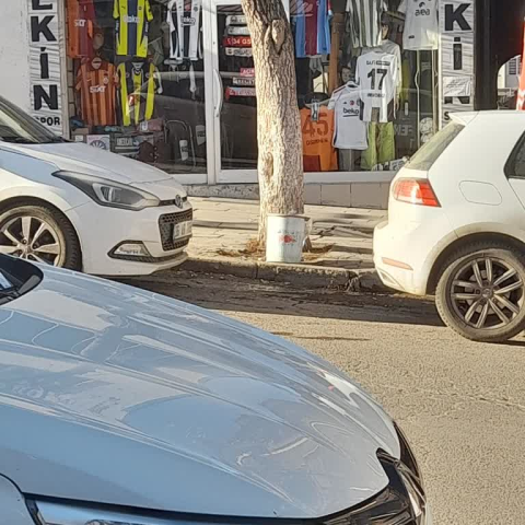 Ekin Spor Malzemeleri | Kars görseli