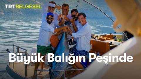 Büyük Balığın Peşinde görseli