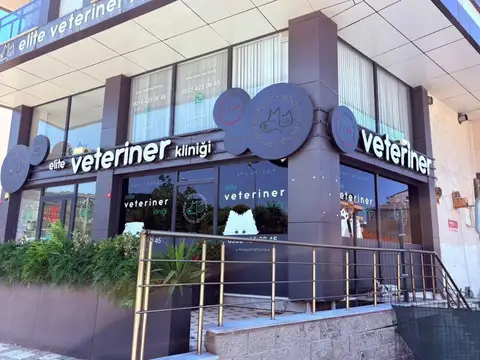 Elite Veteriner Kliniği | Sancaktepe görseli