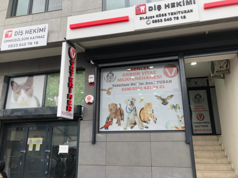 Esenler Arbor Vitae Veteriner Kliniği görseli
