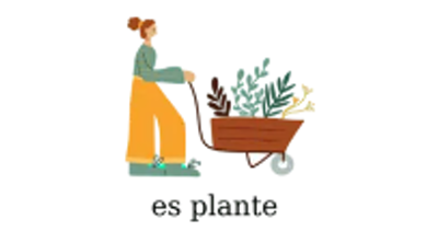 Es Plante görseli