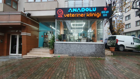 Anadolu Veteriner Kliniği (Ümraniye) görseli