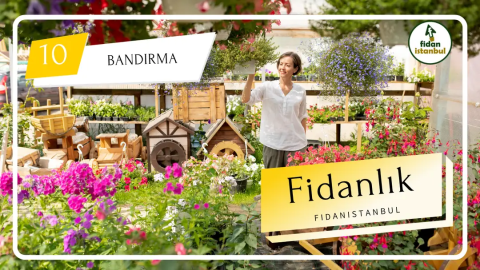 Bandırma Fidancılık görseli