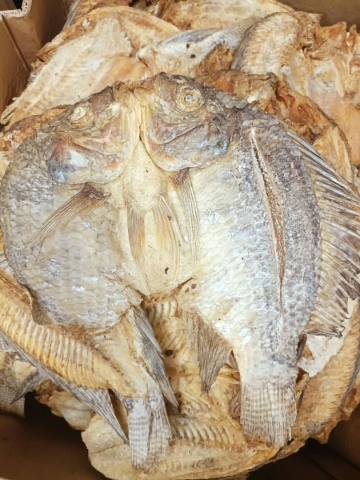 Bitoyo görseli